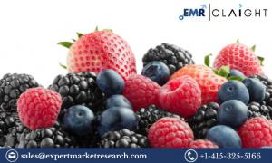 United Kingdom Berries Market