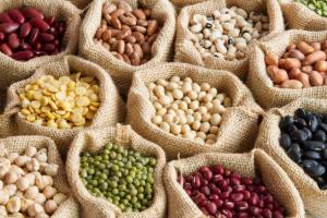 Vegetable Seed