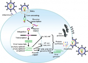 Lentiviral Vectors Market
