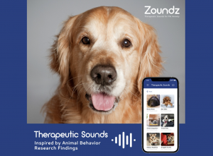 Zoundz launches therapeutic programs to help dogs and cats stay anxiety free while traveling this Thanksgiving