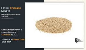 Chitosan Market Research