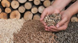 wood pellet