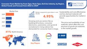 Consumer foam Market