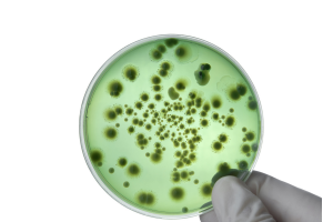 Cell Culture Media 1
