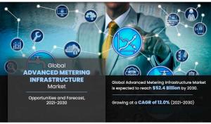 Advanced Metering Infrastructure (AMI) Market Size