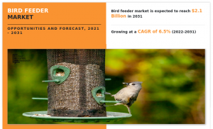 Bird Feeder Market Type