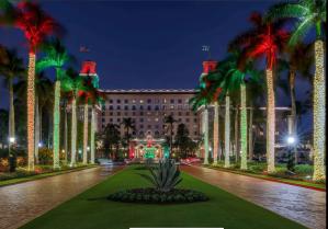 Celebratory Christmas Lighting of 27 palm trees to take place on Nov 24