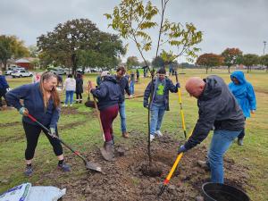 11 climate-resilient species were planted at Pemberton Hill Park.