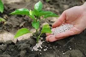 Fertilizer Additives Market Research