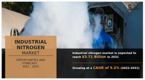 Market Report Industrial Nitrogen
