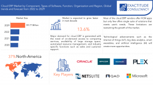 Cloud ERP market