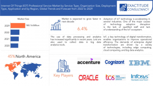 Internet of Things (IOT) Professional Service Market