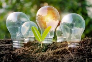 Global Green Energy Analysis