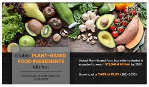 Plant-based Food Ingredients Market