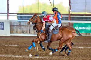 Two arena polo players on horses - one man and one woman compete for the ball during National Arena Amateur Cup