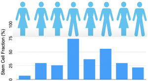 Chart of Donor Variation in Stem Cell Number