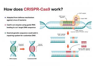 Crispr Technology Market