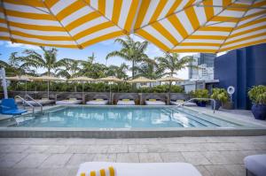 Rooftop pool at the Catalina Hotel with blue water, surrounded by palm trees and white lounge chairs under vibrant yellow and white striped umbrellas, against a backdrop of Miami's cityscape.