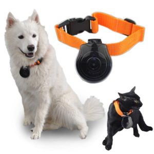 Pet Wearable Accessories (Devices) Market