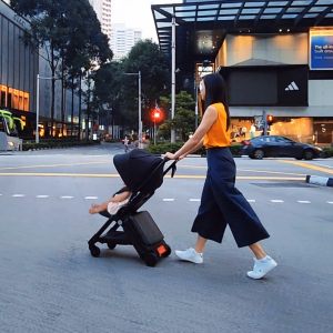 TernX Carry On Stroller the best stroller for traveling abroad