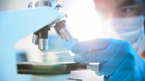 Research Antibodies Market
