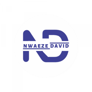 Nwaeze David Launches “Pro Blogging Academy” to Empower Entrepreneurs in the Digital Age