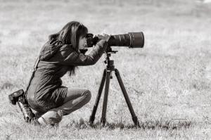 Wild horse photographer, Maria Marriott, photographing wild mustangs.