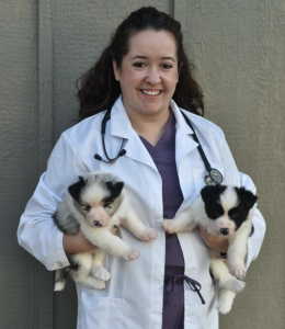 CodaPet: A Peaceful Passing At Home