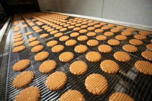 Biscuit Manufacturing Plant