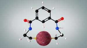 Emeramide molecule irreversibly bound to mercury