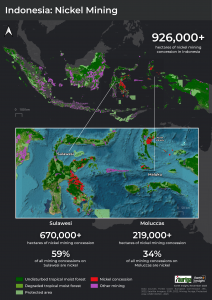 Nickel Mining in Indonesia