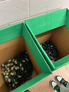 Strand Lights in Recycling Box