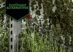 Fall River Weed Dispensary