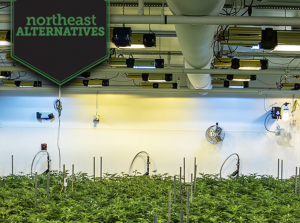 Northeast Alternatives Weed Dispensary Fall River