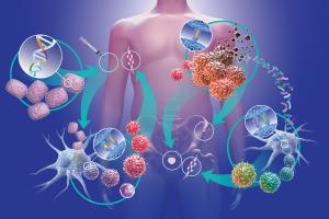 Cancer Therapy Market