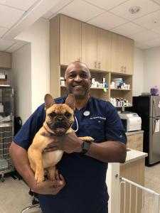 CodaPet: A Peaceful Passing At Home