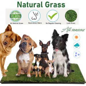 Infographics for Grass Mat product sold on Amazon