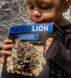 CP24 CHUM Christmas Wish – Nature Lion Donates 150 Mushroom Growing Kits to Kids