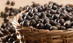 Global France Acai Berry Market Analysis