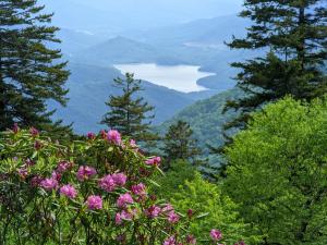 a view of the Blue Ridge Mountains