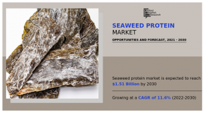 Seaweed Protein 