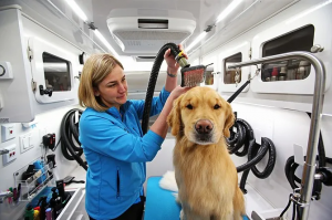 Global Mobile Pet Care Market