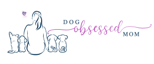 Dog Obsessed Mom Offers Subscription Box and T-Shirt Club Specifically for Dog Lovers