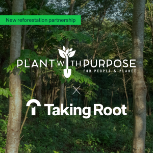 Plant With Purpose Partners with Taking Root to Accelerate Forest Restoration