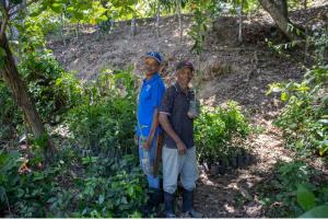 The partnership between Taking Root and Plant With Purpose has resulted in 500,000 trees being planted in the Dominican Republic with the help of 237 farmers.