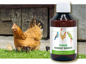 Vivace Energy Boost: for direct energy