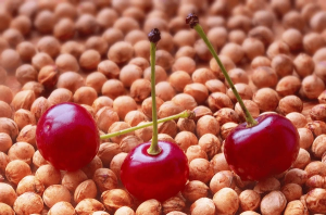 Global Cherry Seed Market Outlook