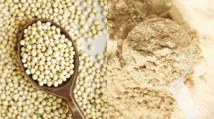 Global Soy Protein Market Analysis