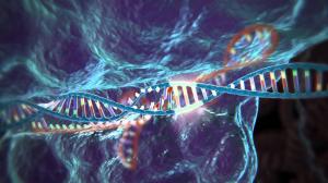Crispr Technology Market