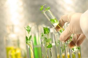 Bio-Based Chemicals Market